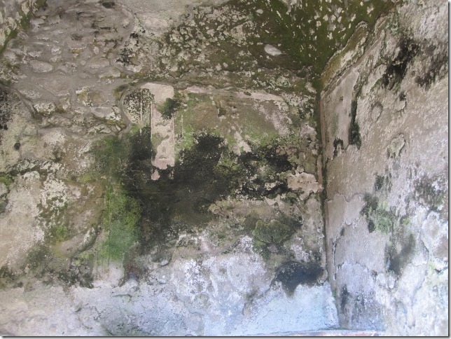 150331 Italy- Herculaneum (7) (640x480)