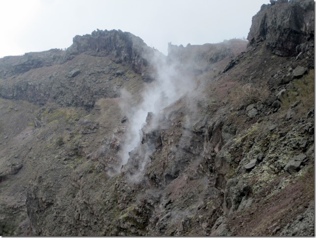 150402 Italy- Vesuvius (10) (640x480)