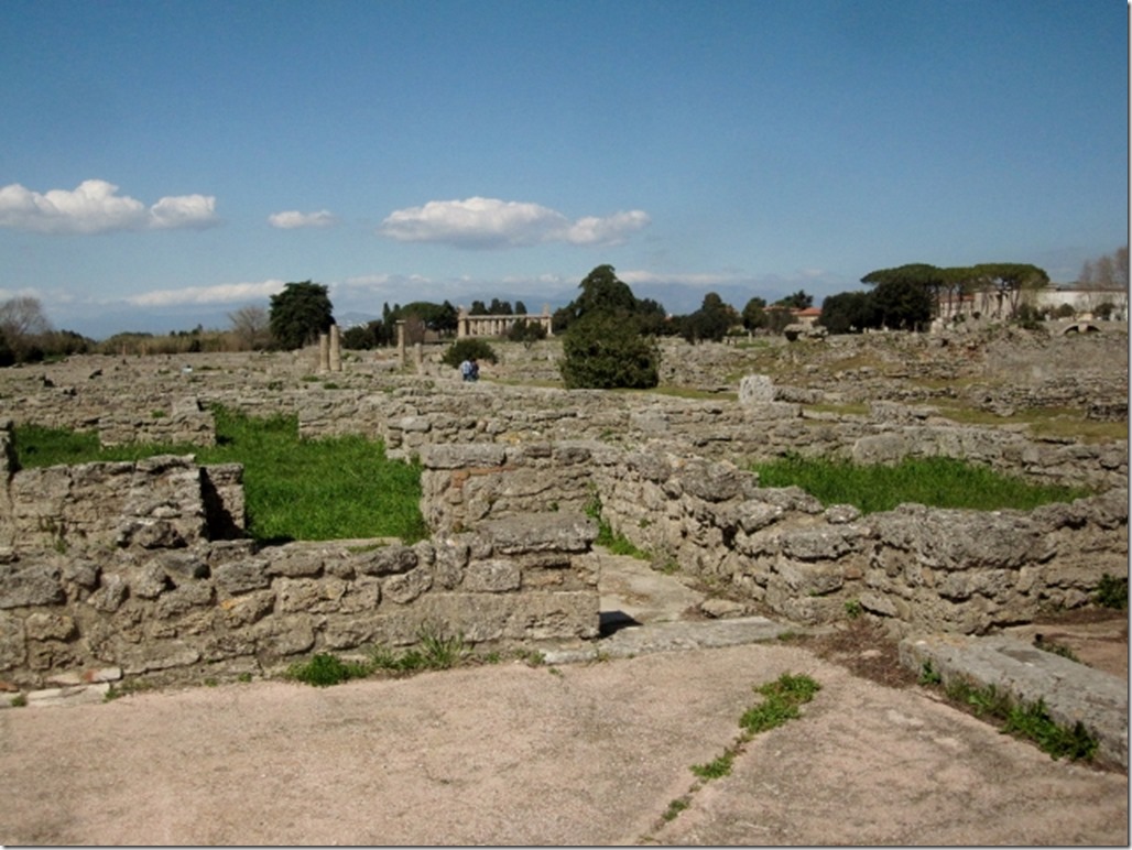 150403 Italy- Paestum (16) (640x480)