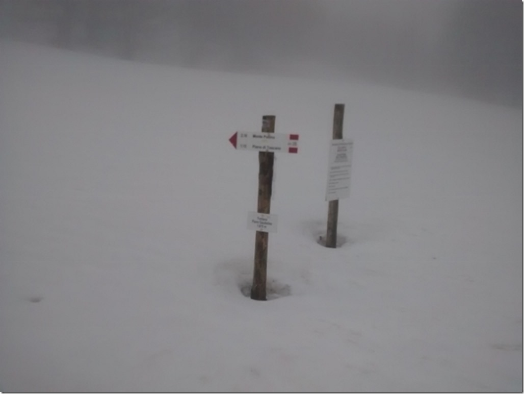 150405 Italy- Monte Pollino (21) (640x480)