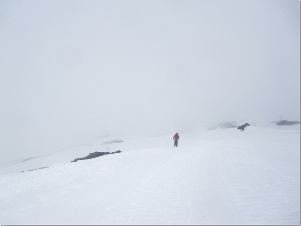 150408 Italy-Mount Etna (14) (640x480)