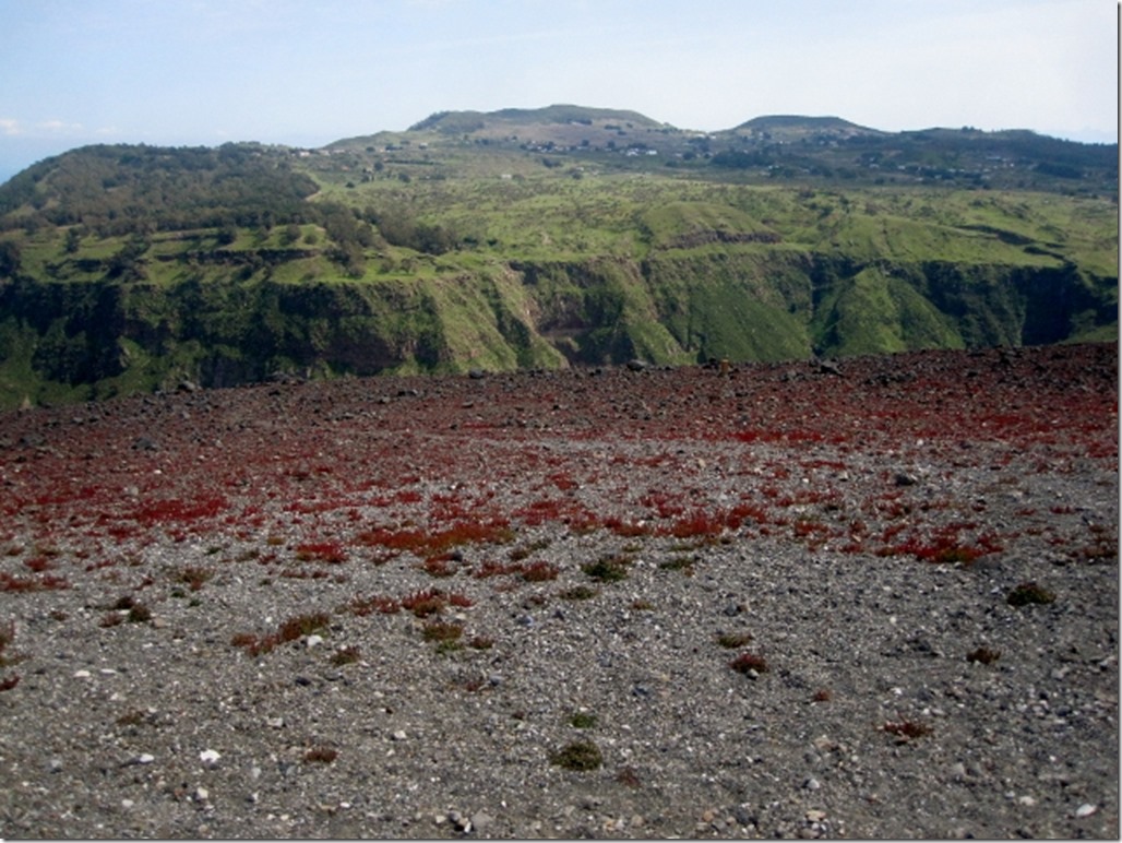 150412 Italy-Vulcano (66) (640x480)