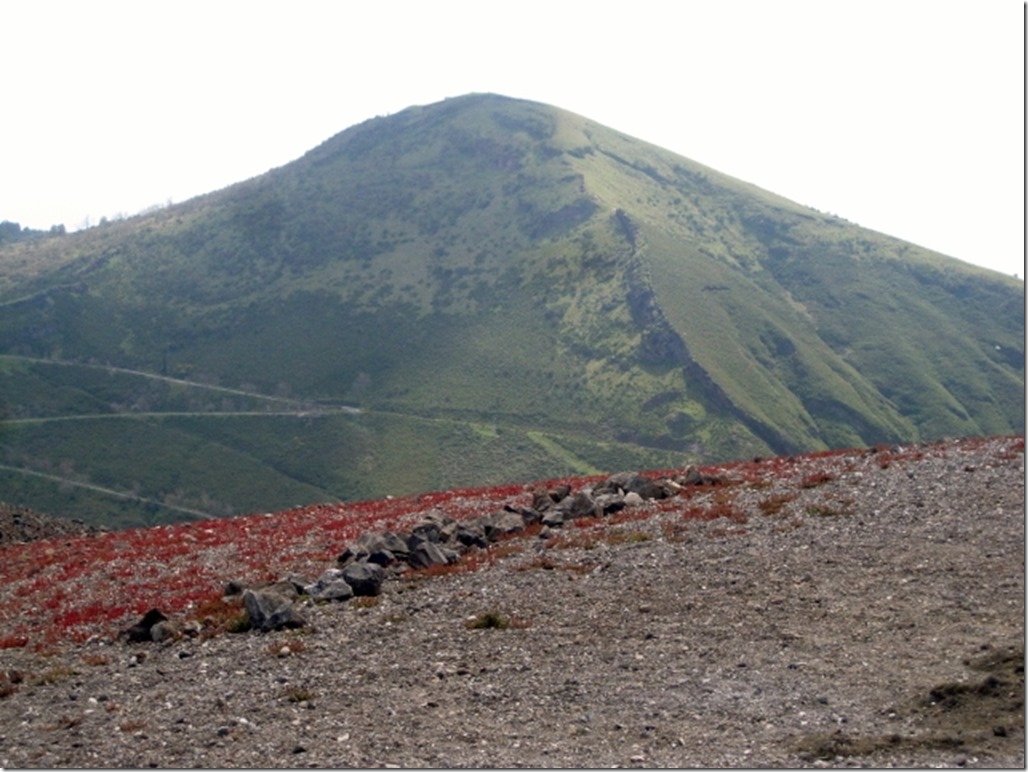 150412 Italy-Vulcano (68) (640x480)