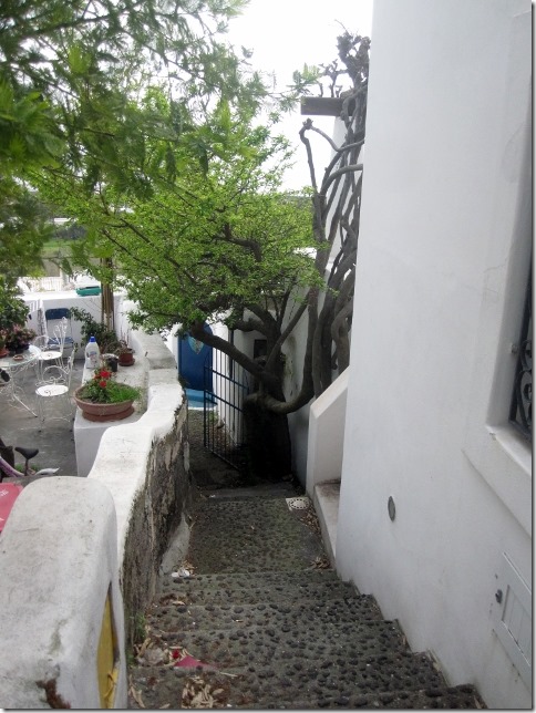 150414 Italy-Stromboli (16) (480x640)