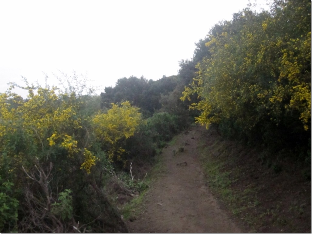 150415 Italy-Stromboli (1) (640x480)