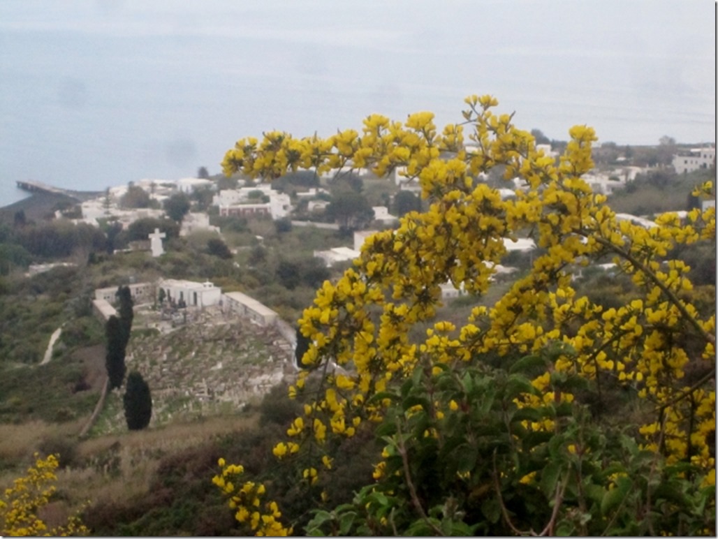 150415 Italy-Stromboli (3) (640x480)