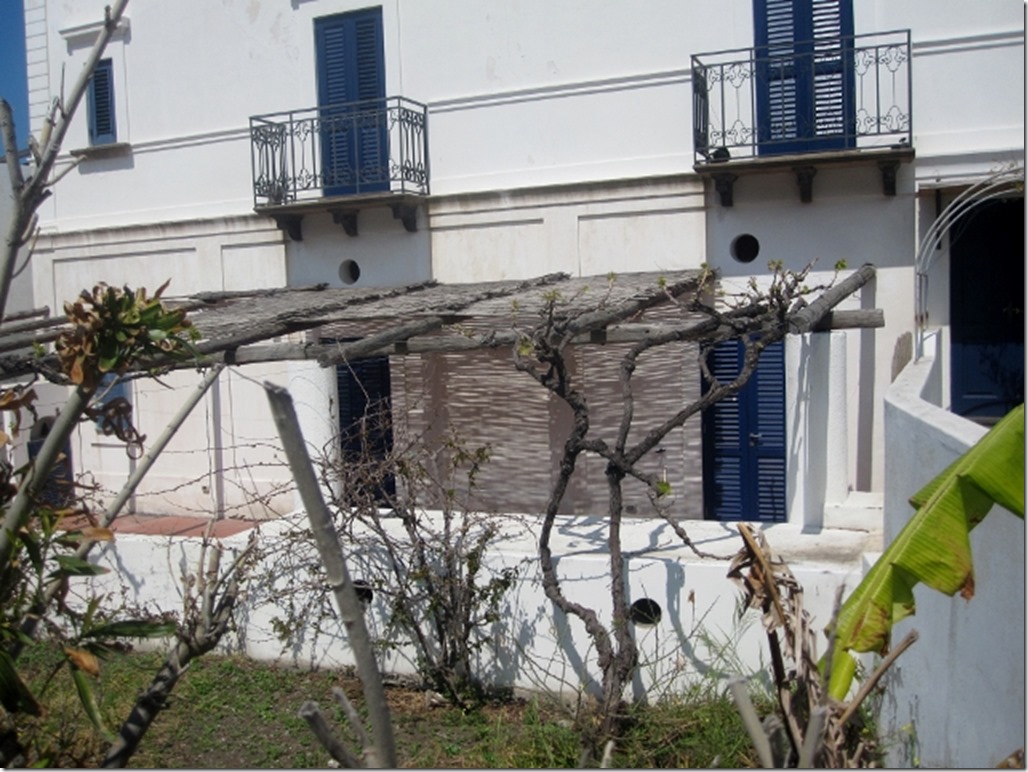 150415 Italy-Stromboli (32) (640x480)