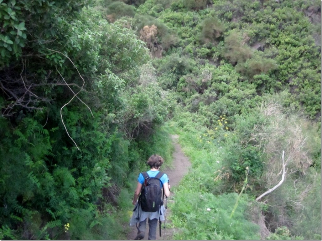 150415 Italy-Stromboli (6) (640x480)