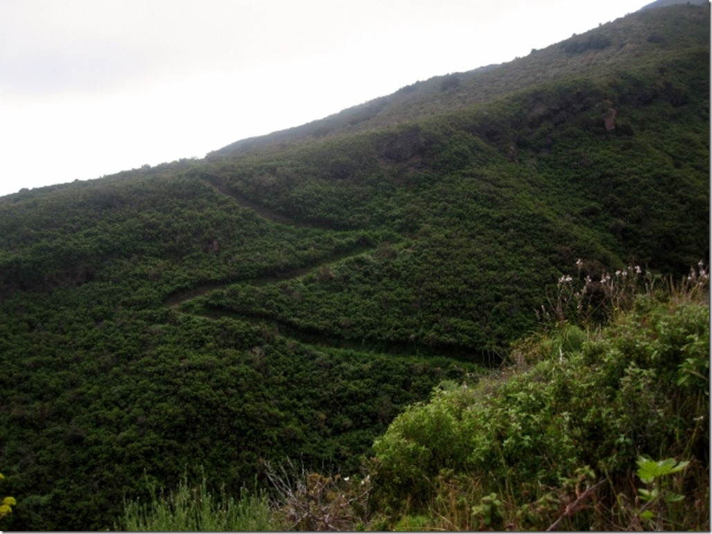 150415 Italy-Stromboli (9) (640x480)