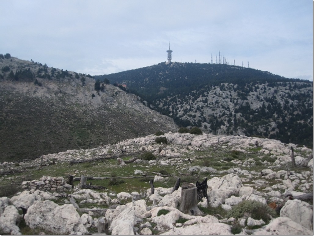 150424 Greece- Parnitha (36) (640x480)