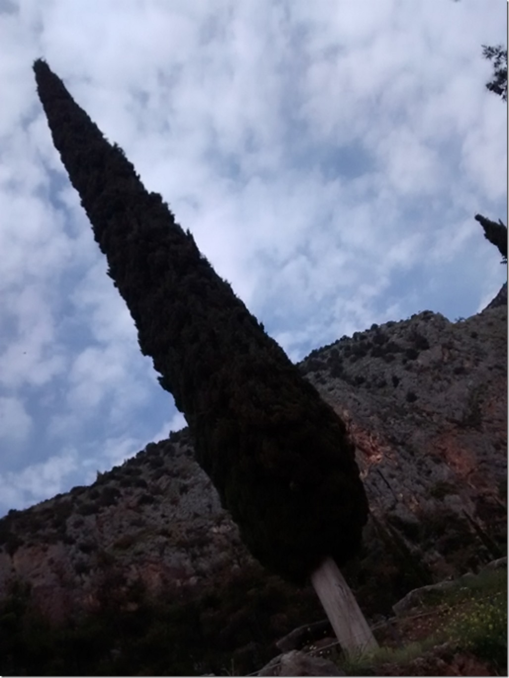 150425 Greece- Delphi (26) (480x640)