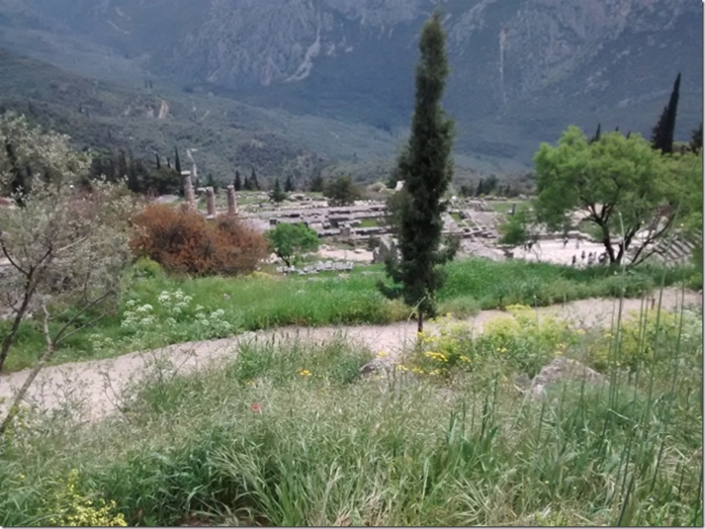 150425 Greece- Delphi (27) (640x480)