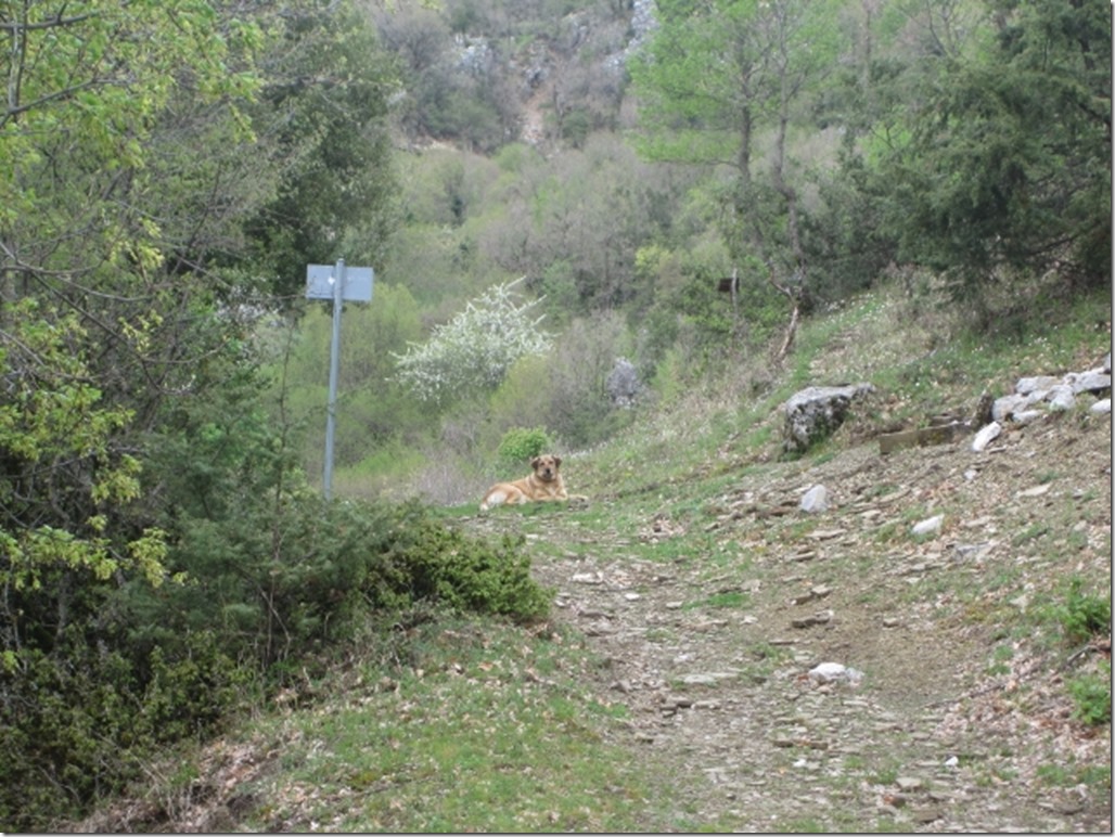 150429 Greece- Papingo (38) (640x480)