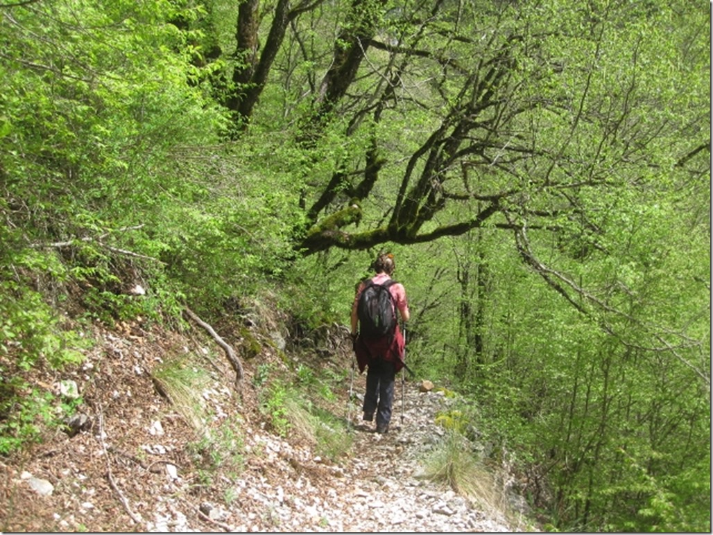 150430 Greece- Vikos gorge (12) (640x480)