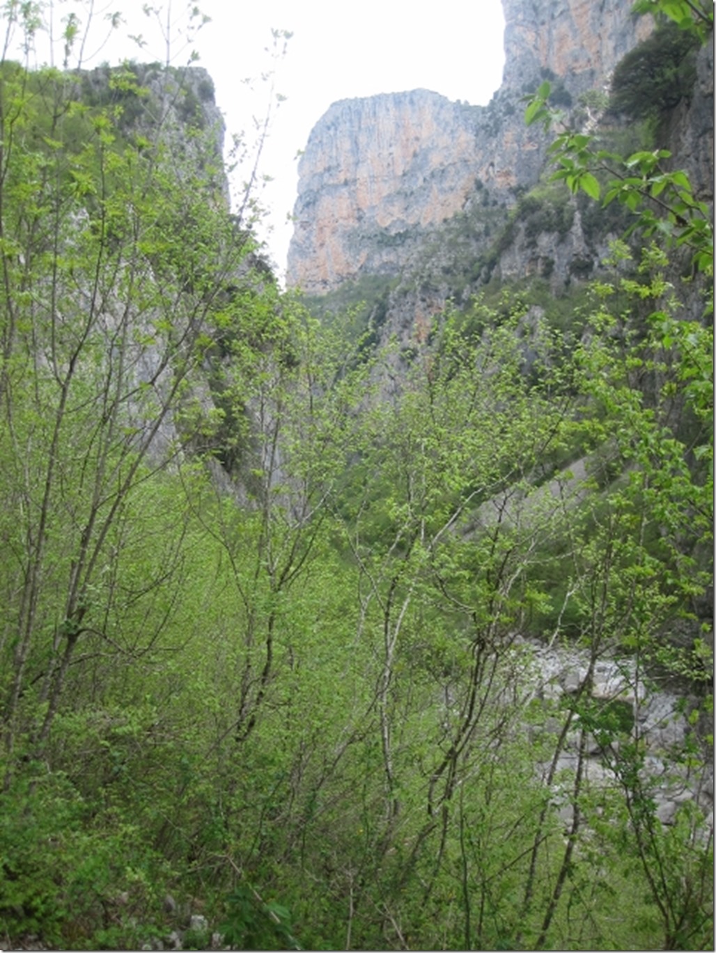 150430 Greece- Vikos gorge (13) (480x640)
