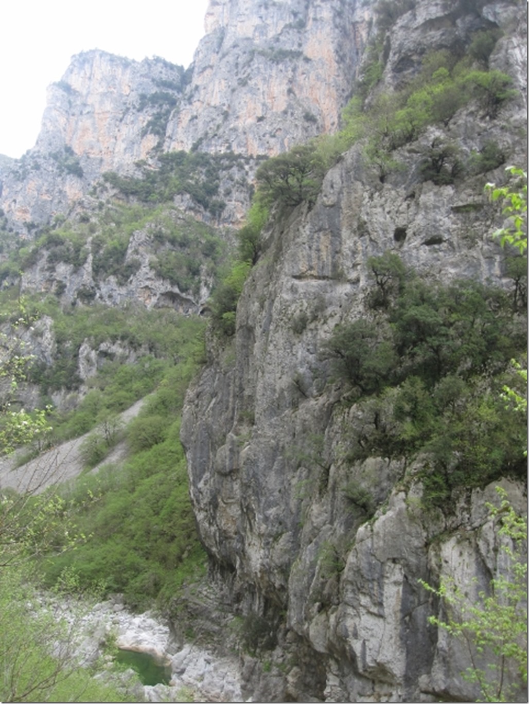 150430 Greece- Vikos gorge (14) (480x640)