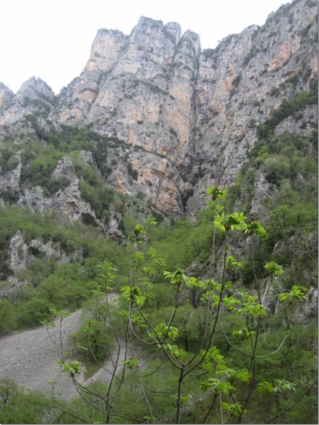 150430 Greece- Vikos gorge (17) (480x640)
