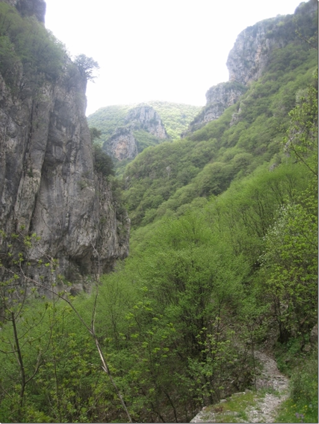 150430 Greece- Vikos gorge (18) (480x640)