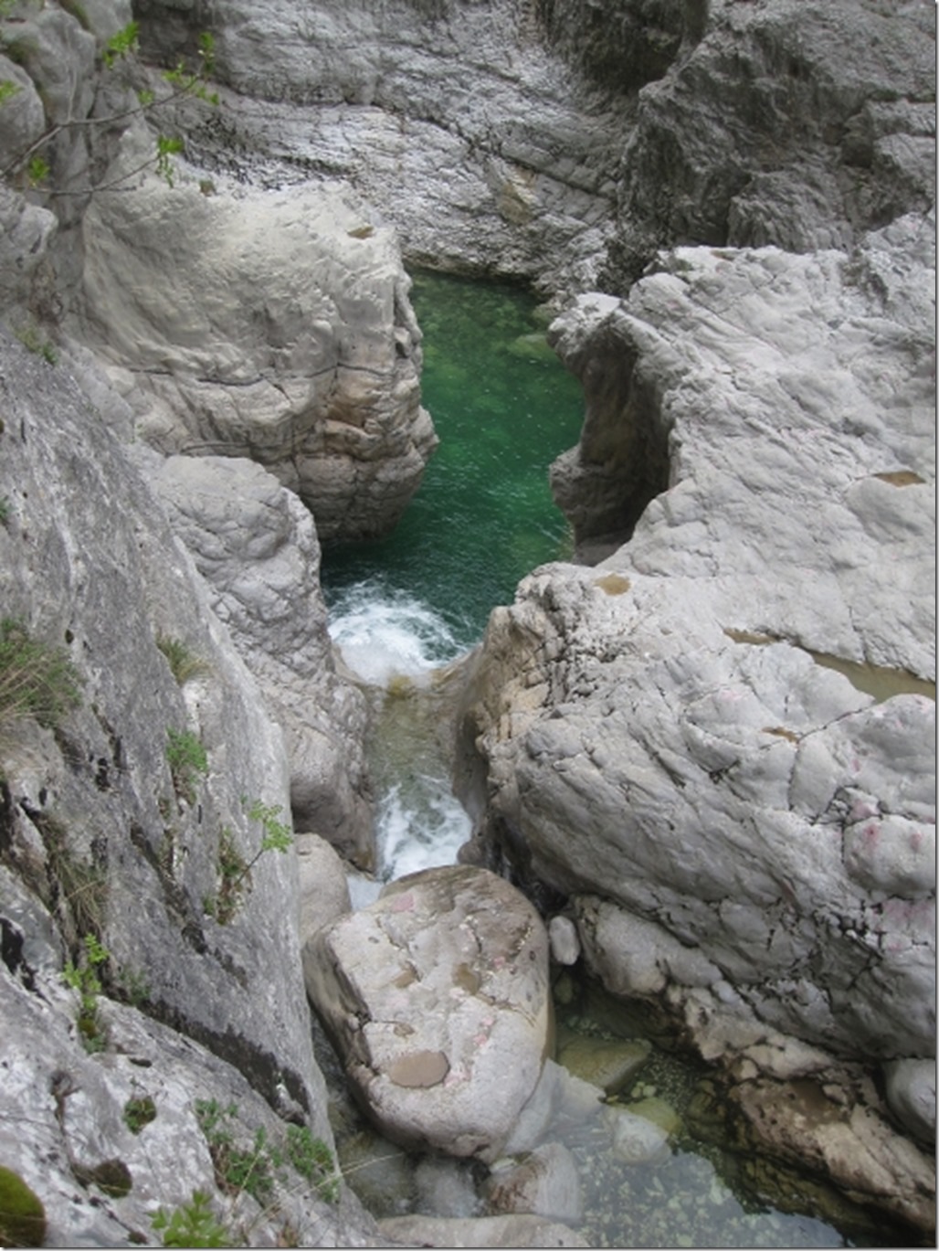 150430 Greece- Vikos gorge (22) (480x640)