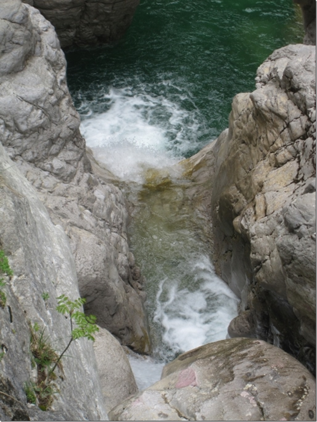 150430 Greece- Vikos gorge (23) (480x640)