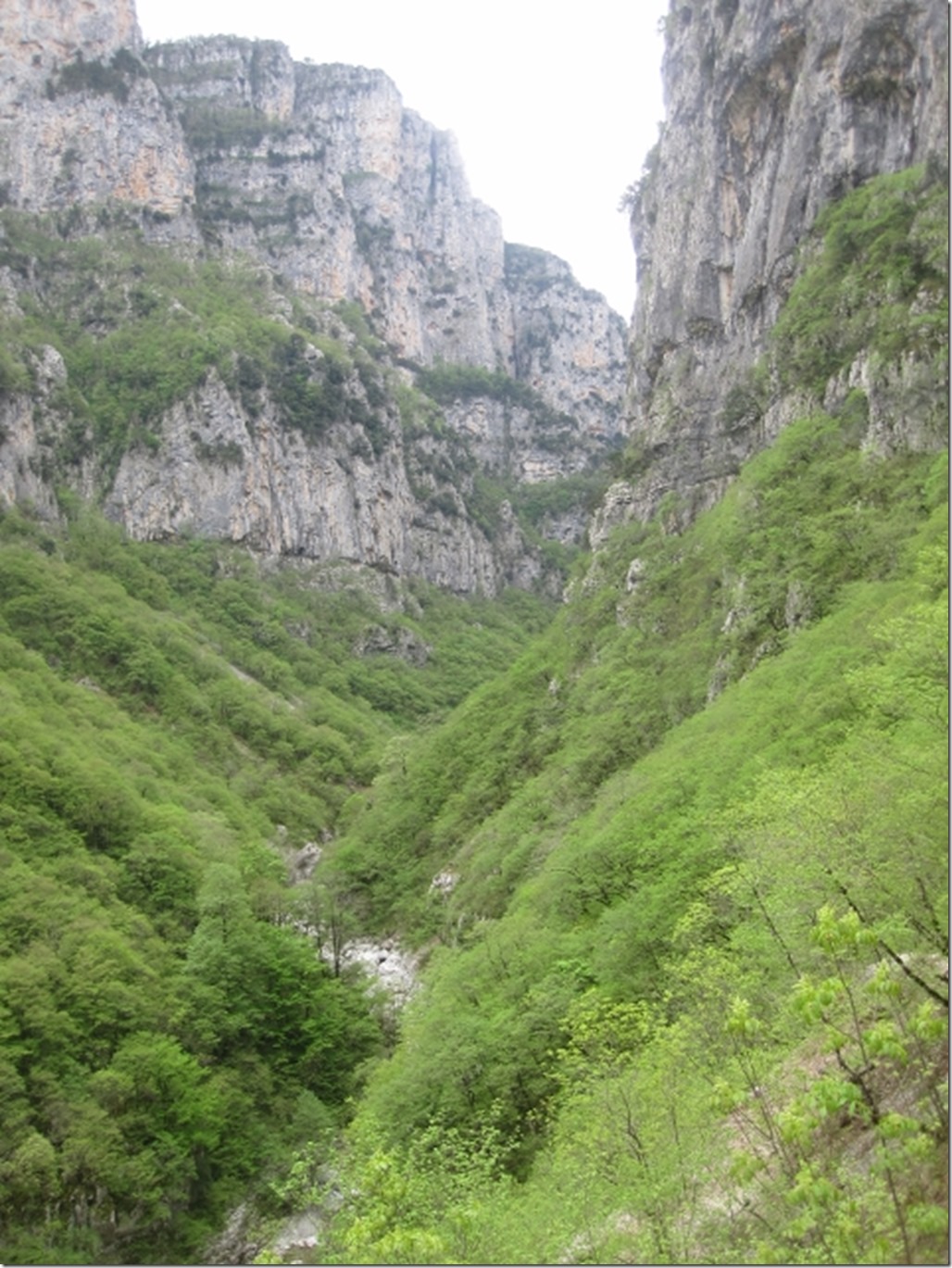 150430 Greece- Vikos gorge (27) (480x640)