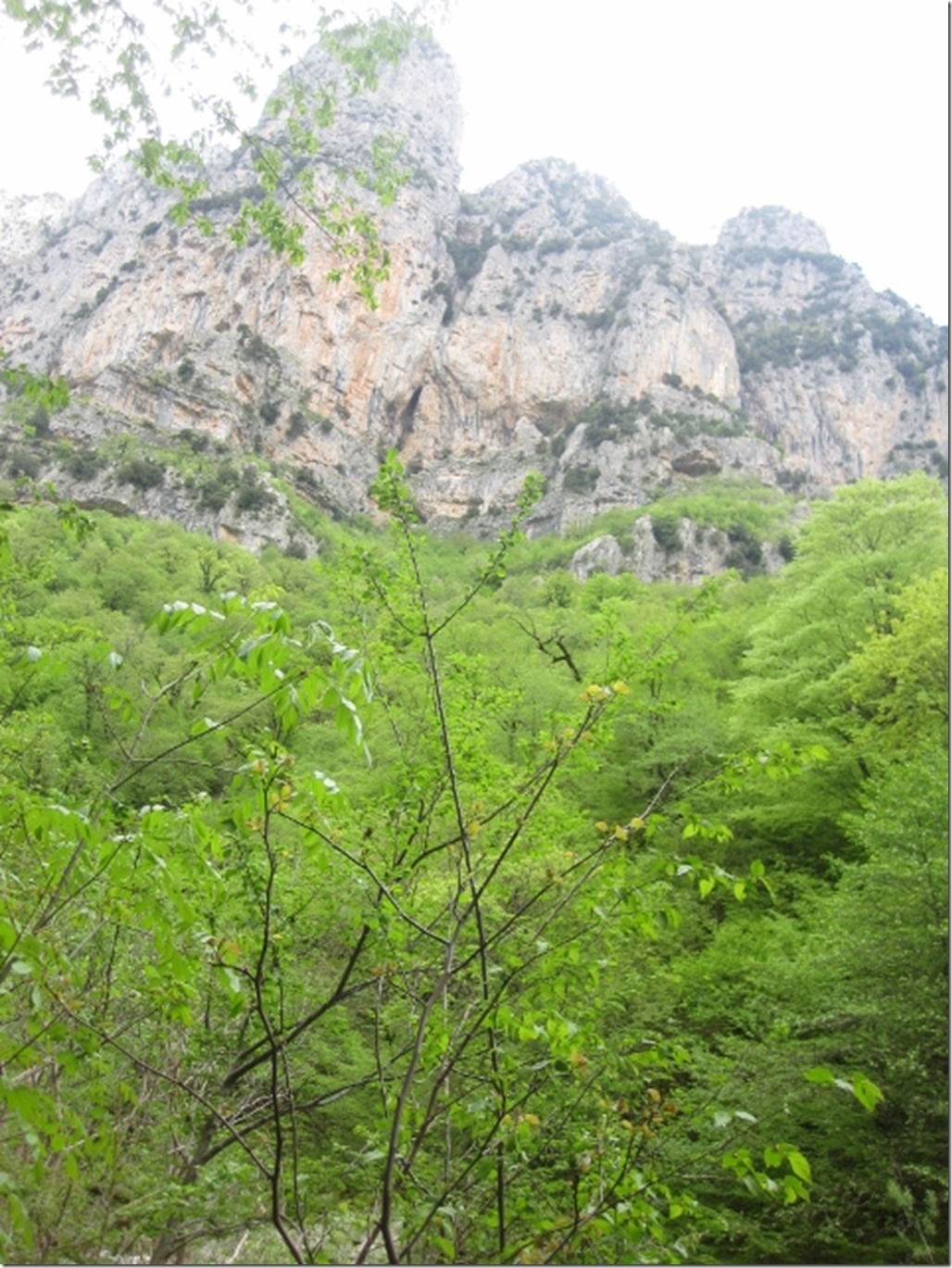 150430 Greece- Vikos gorge (32) (480x640)