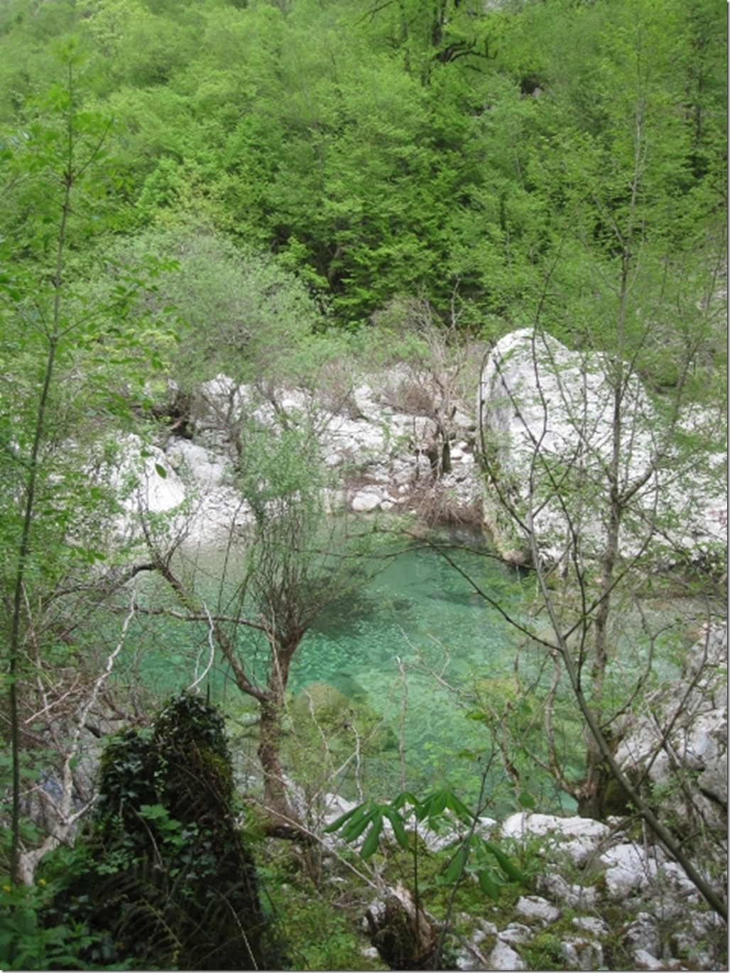 150430 Greece- Vikos gorge (38) (480x640)