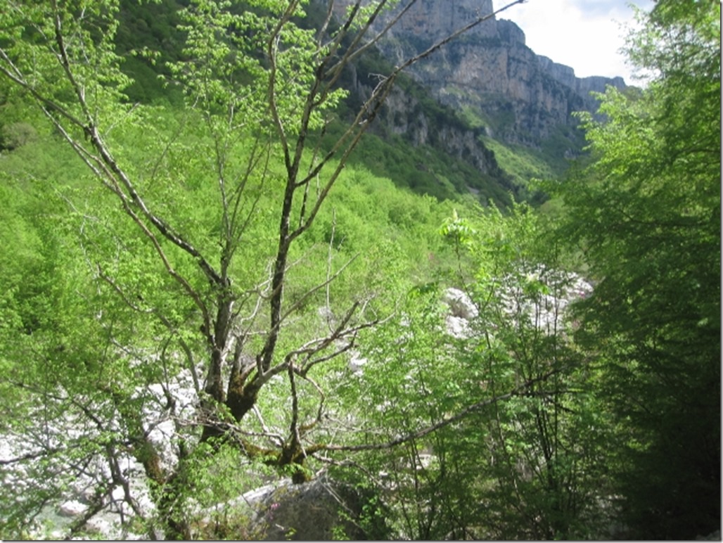150430 Greece- Vikos gorge (39) (640x480)