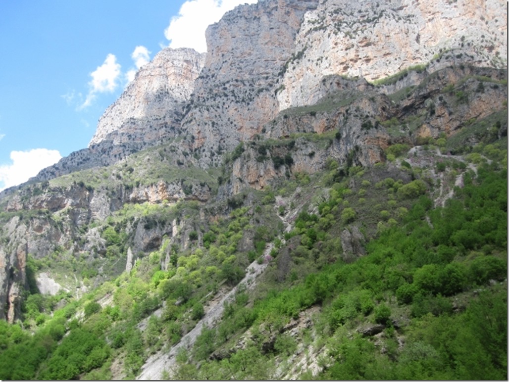 150430 Greece- Vikos gorge (51) (640x480)