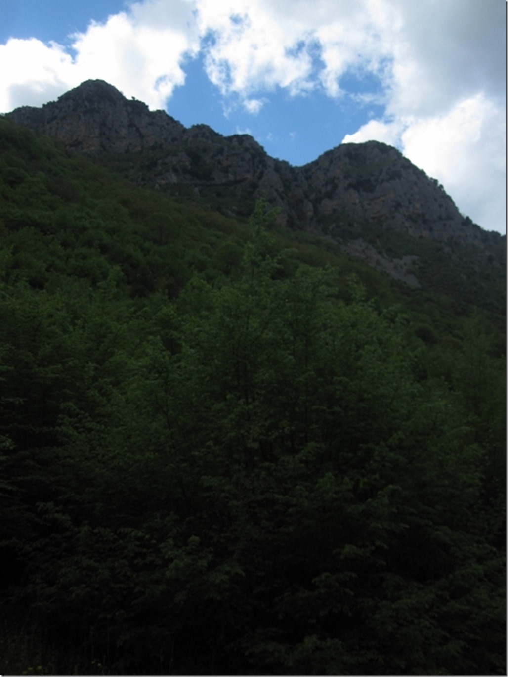 150430 Greece- Vikos gorge (54) (480x640)