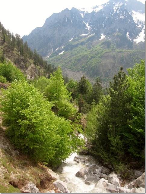 150509 Albania- Valbone (10) (480x640)