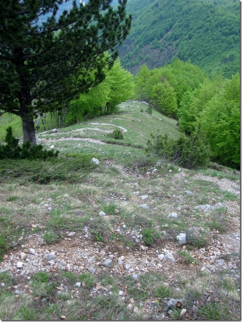 150509 Albania- Valbone (19) (480x640)