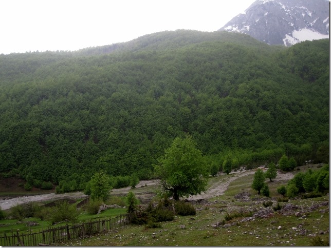 150509 Albania- Valbone (36) (640x480)