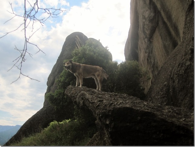 150512 Greece-Meteora (61) (640x480)