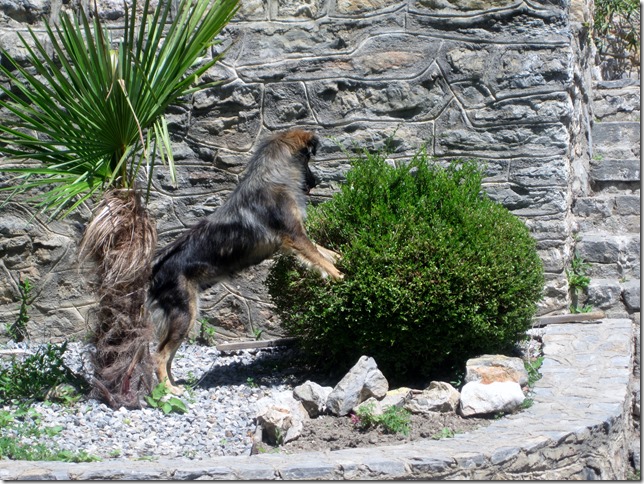 150523 Macedonia- Ohrid (18)