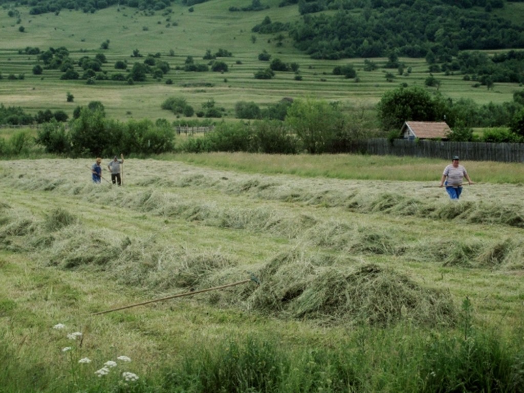 150613 Romania- Bran (1) (640x480)