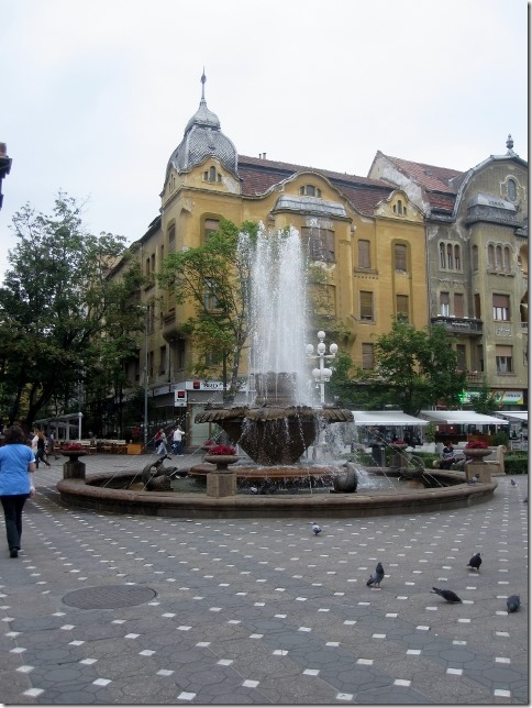 150618 Romania- Timisoara (10) (480x640)