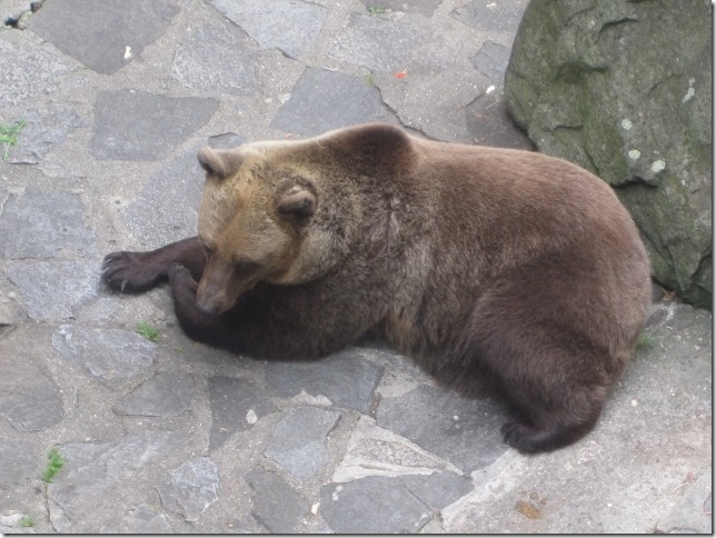 150713 Czech Republic - Cesky Krumlov (10) (640x480)