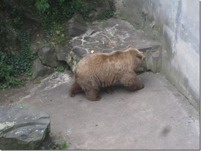 150713 Czech Republic - Cesky Krumlov (7) (640x480)