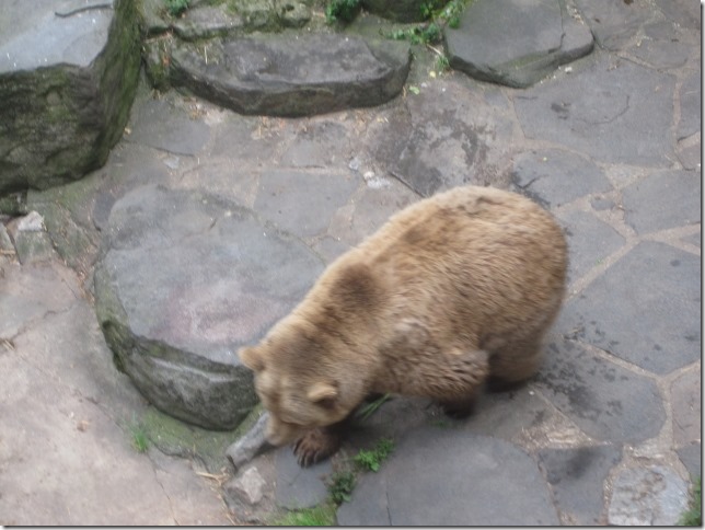 150713 Czech Republic - Cesky Krumlov (8) (640x480)