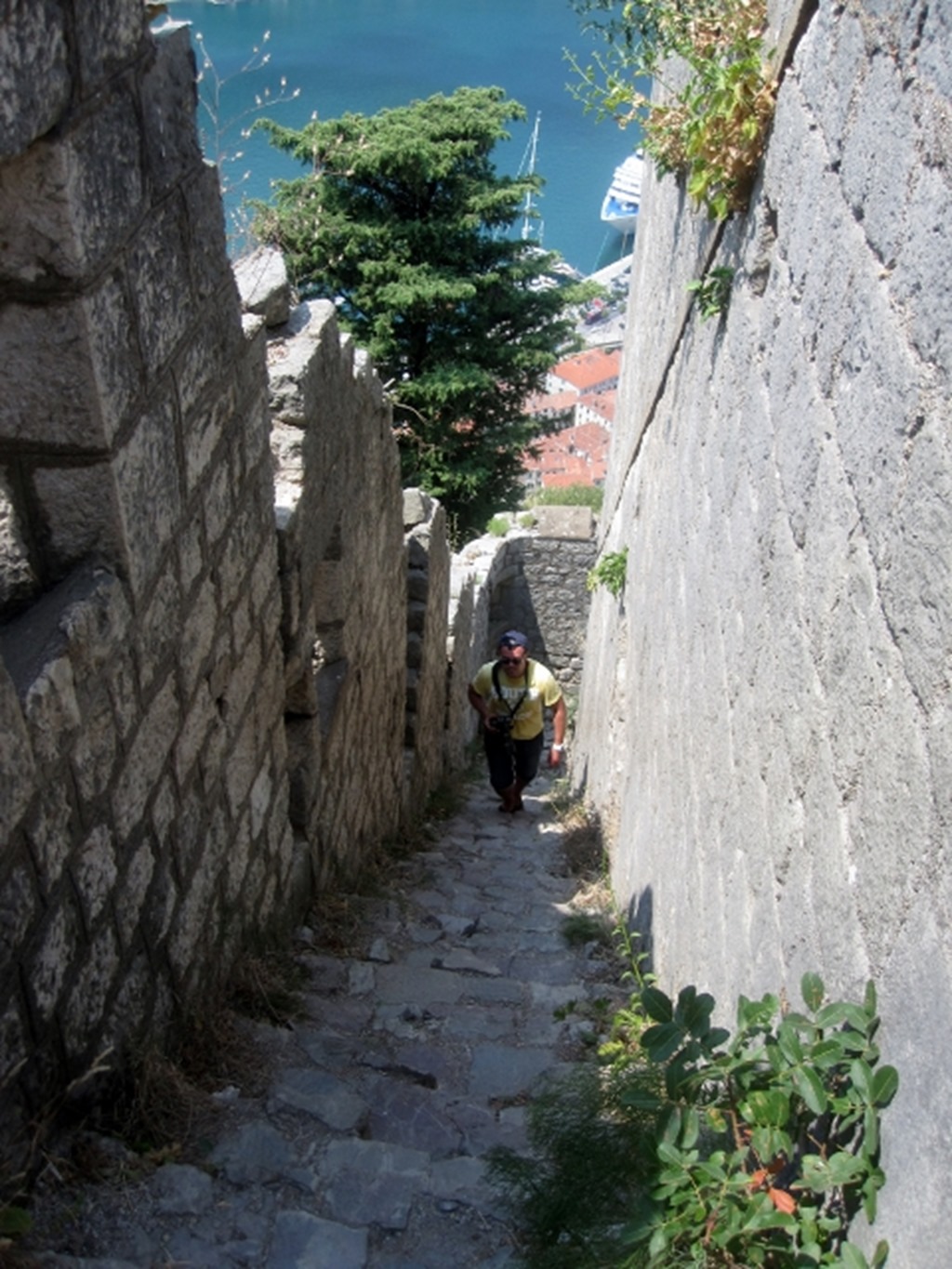 150725 Montenegro- Kotor (13) (480x640)