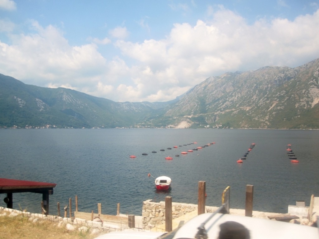 150725 Montenegro- Kotor (2) (640x480)