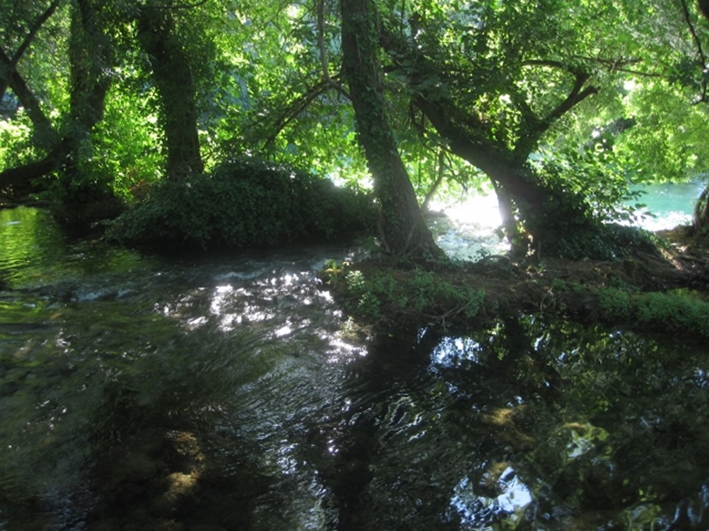 150731 Croatia- Krka (16) (640x480)