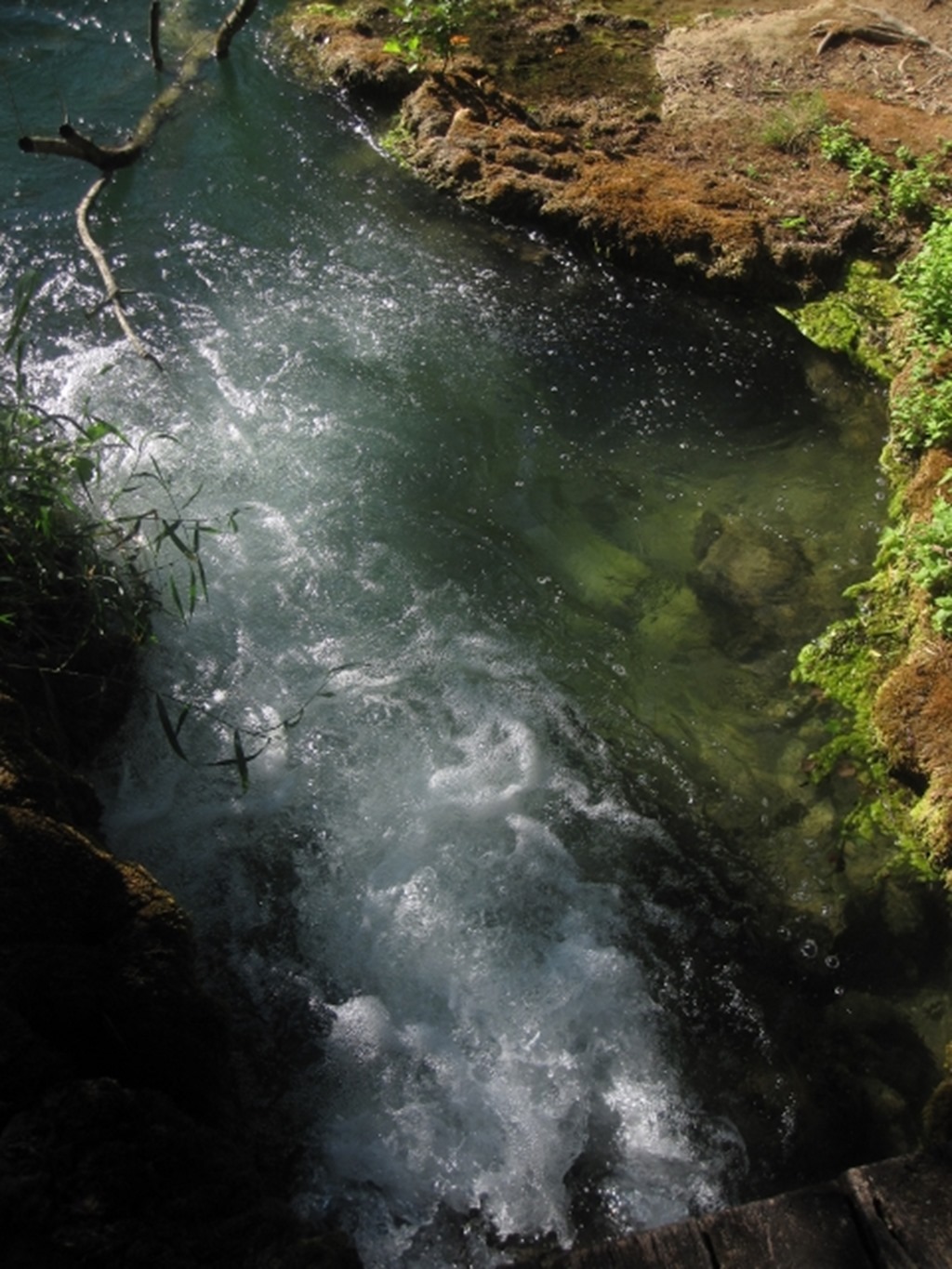 150731 Croatia- Krka (18) (480x640)