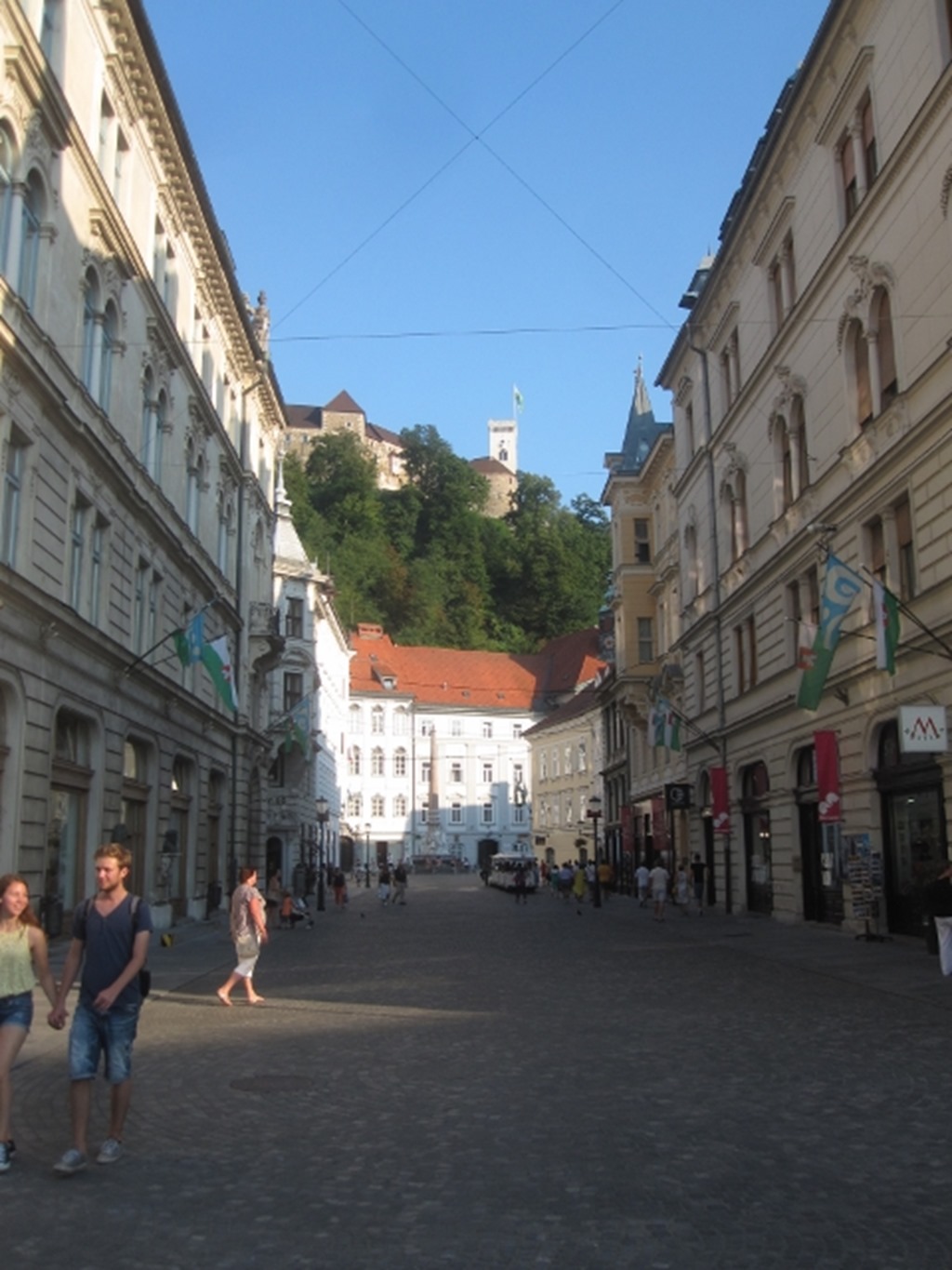 150806 Slovenia- Ljubljana (21) (480x640)