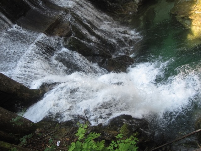 150807 Slovenia- Bled (34) (480x640)