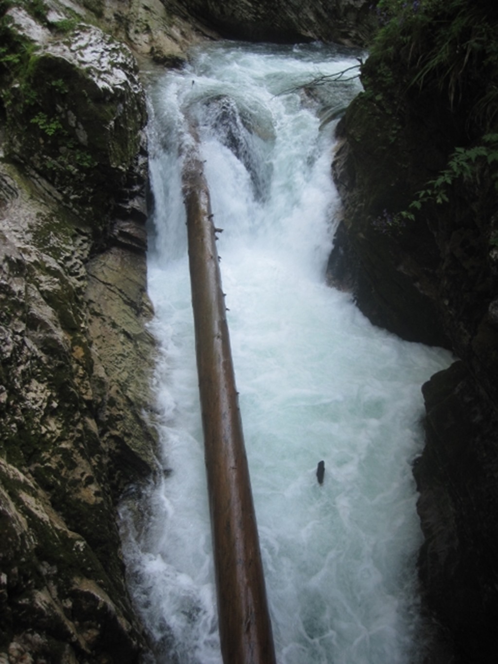 150807 Slovenia- Bled (44) (480x640)