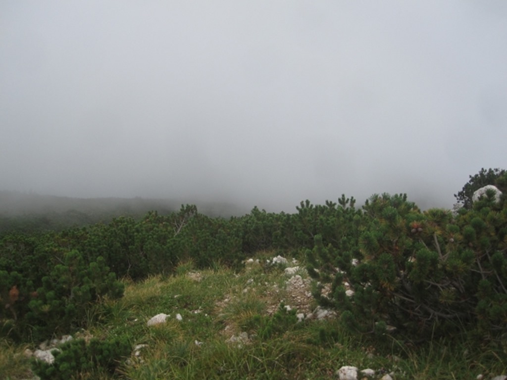 150817 Italy- Monte Baldo (40) (640x480)