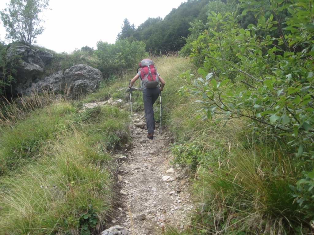 150817 Italy- Monte Baldo (8) (640x480)