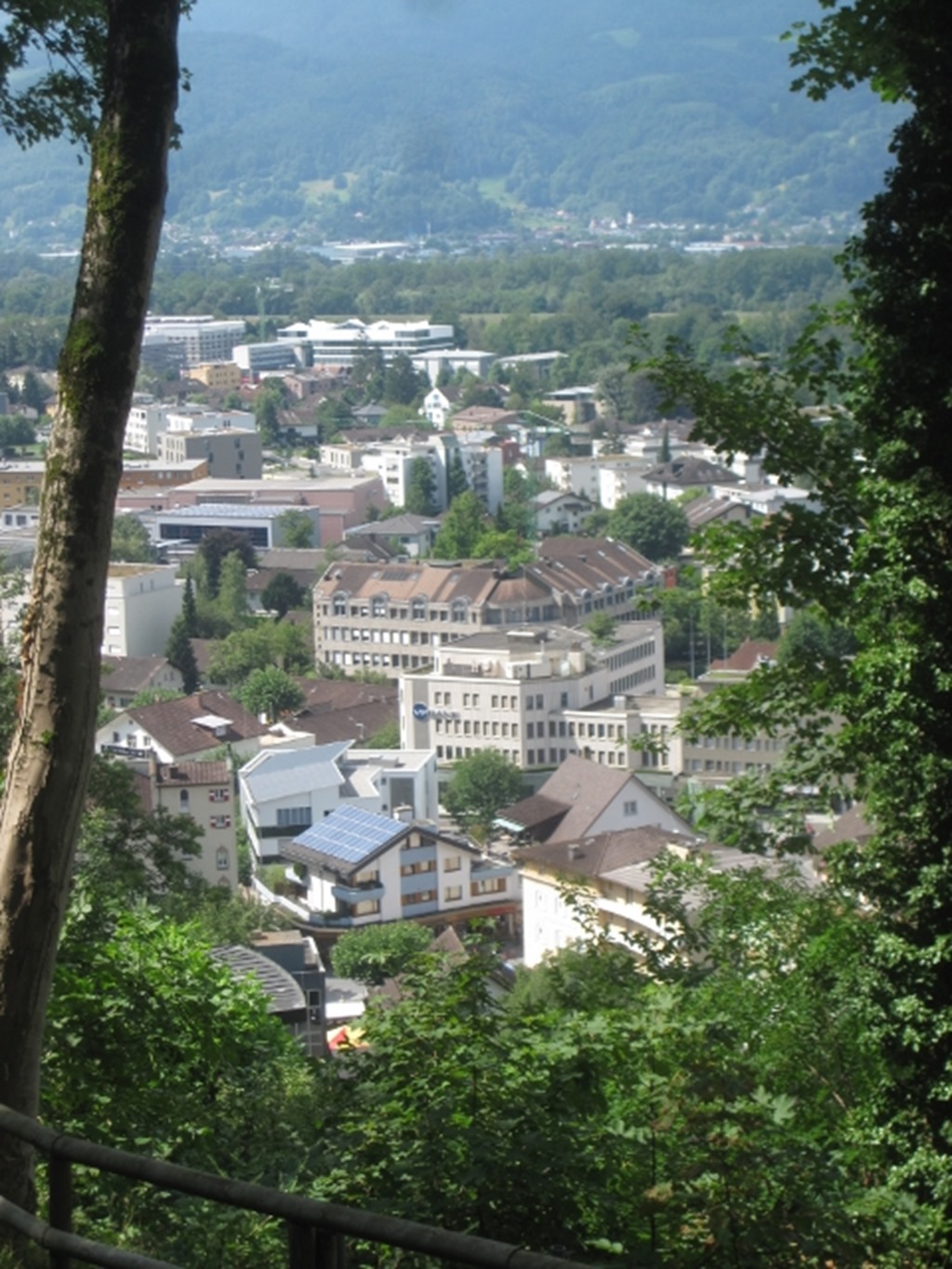 150820 Liechtenstein- Vaduz (21) (480x640)